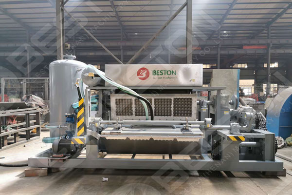 Investing in Egg Tray Making Machine From Beston